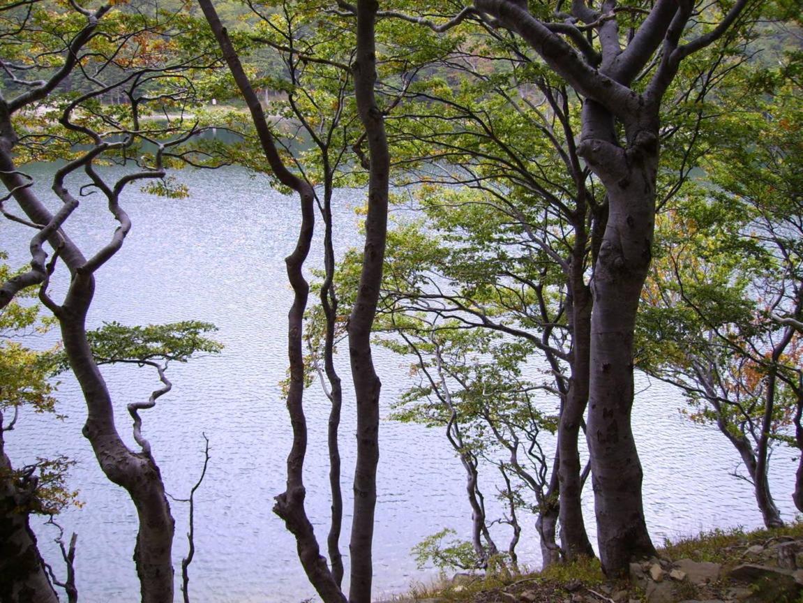 布拉玛盘农场住宿加早餐旅馆 蒙蒂伦格苏皮尔 外观 照片